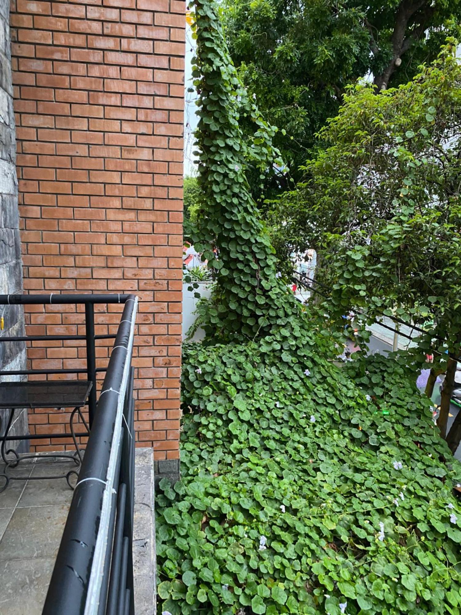 Hotel Khach San Minh Chau - Hoa Hung Ho Či Minovo Město Exteriér fotografie